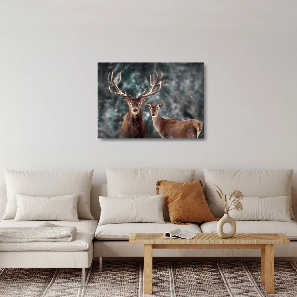 Sklenený obraz - Jeleň a laň v zasneženom lese (70x50 cm)
