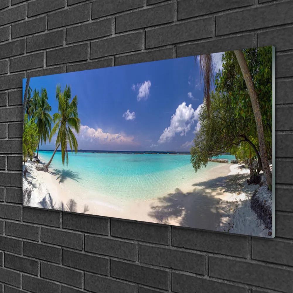 Obraz na skle More pláž palma krajina 125x50 cm