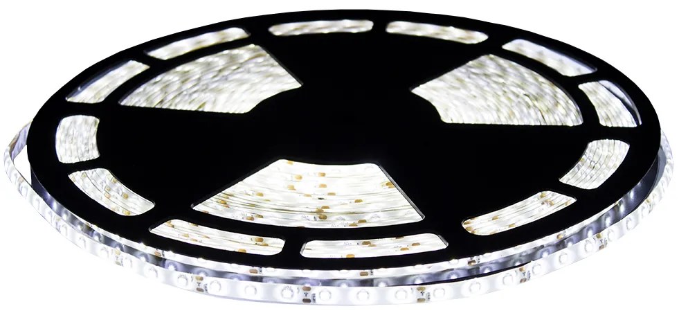 BERGE LED pásik - SMD 2835 - 50m - 4,8 W/m - IP20 - studená biela