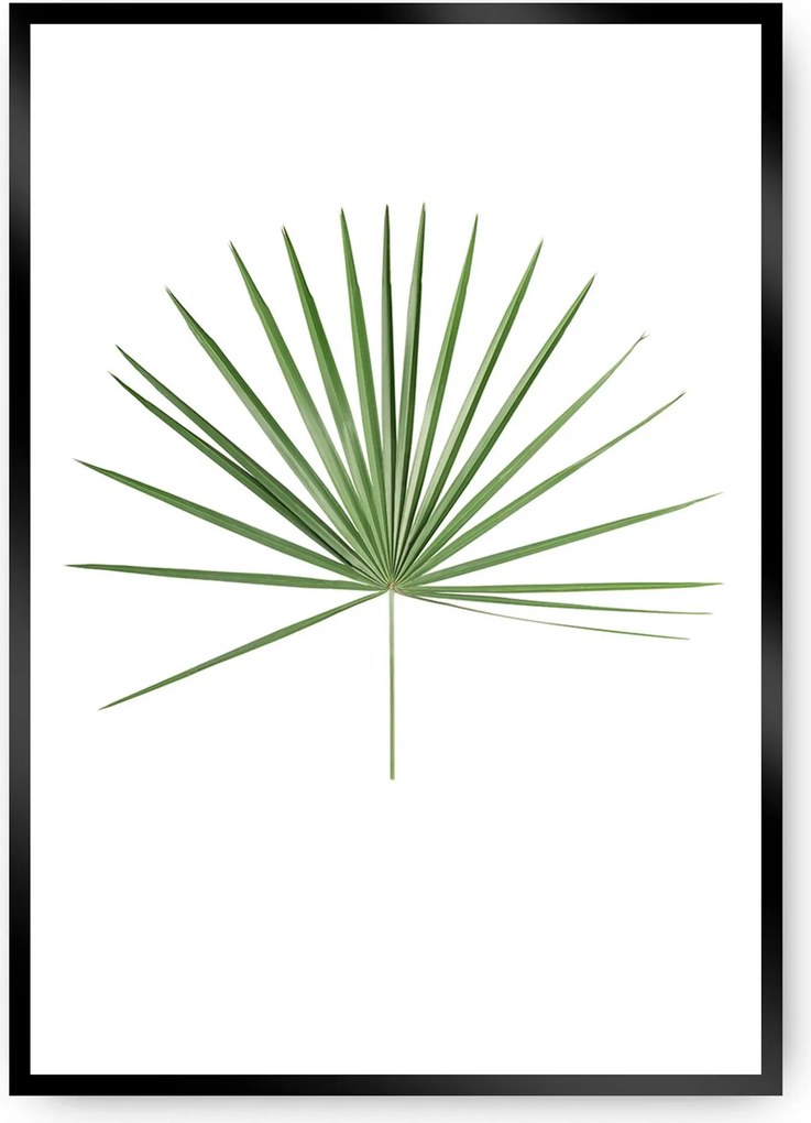 Plagát Tropical Leaf Green