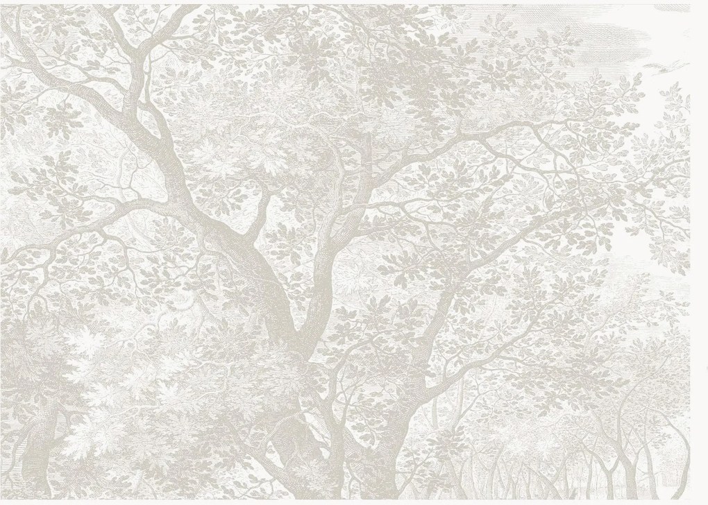 Vliesová tapeta Engraved Landscapes