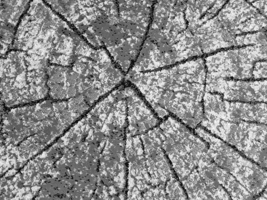 DC Koberec PP 017 sivá Rozmer: 160×220 cm