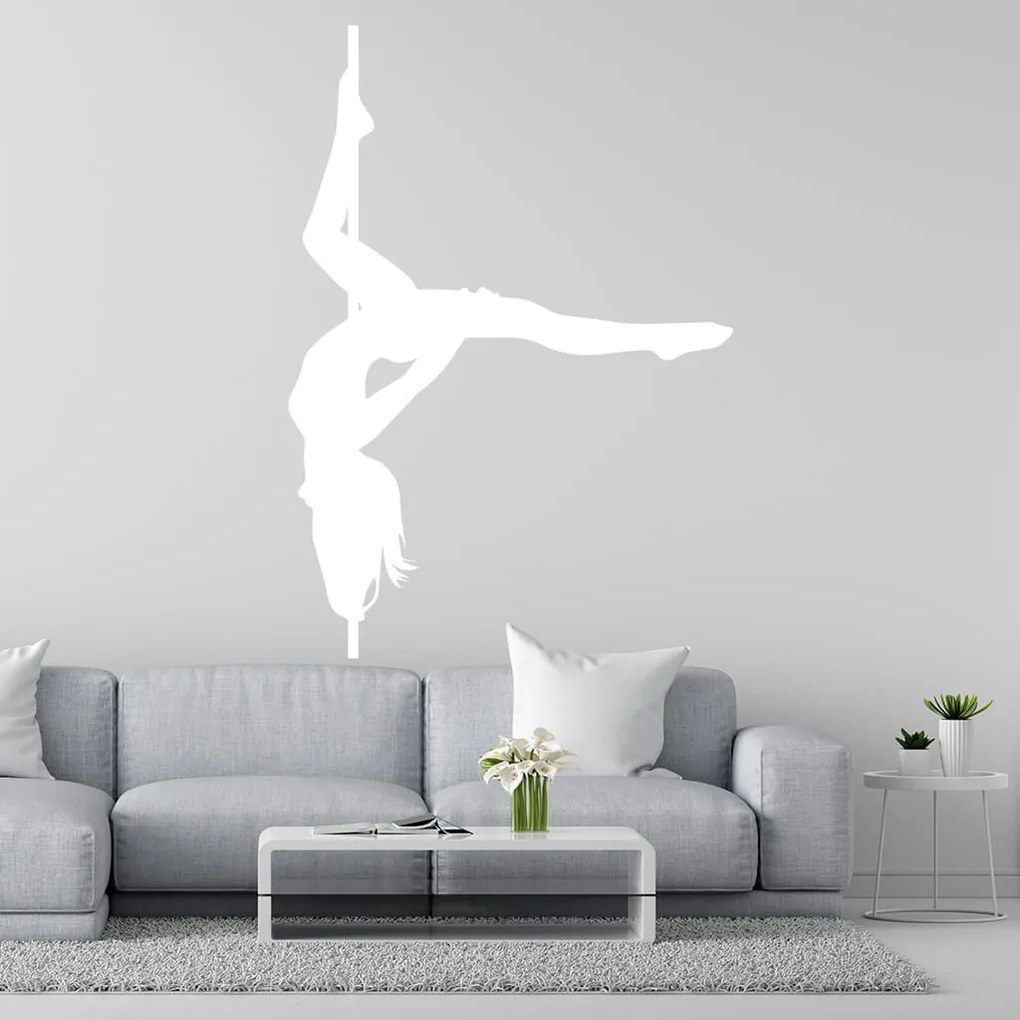 Veselá Stena Samolepka Pole dance Farba: hnědá, Veľkosť: 100 x 70 cm