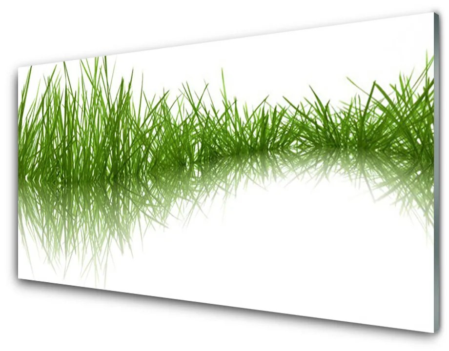 Obraz plexi Tráva príroda rastlina 140x70 cm