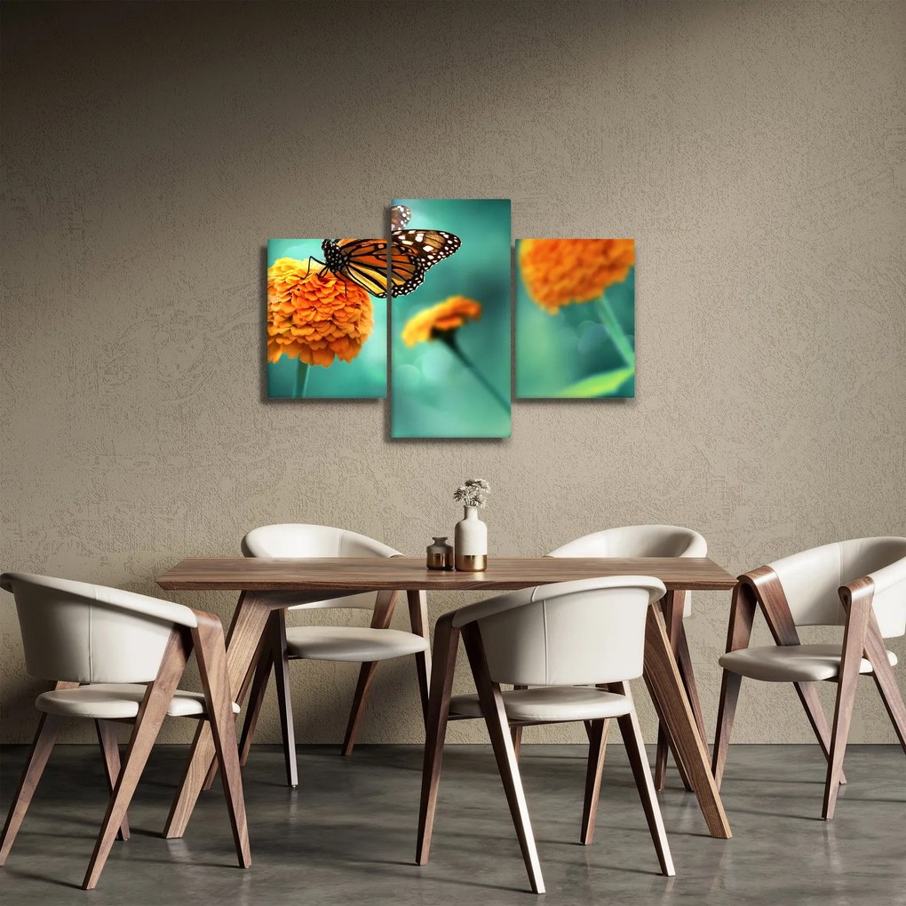 Obraz motýľa (90x60 cm)