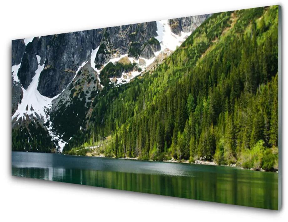 Skleneny obraz Jazero les hory príroda 100x50 cm