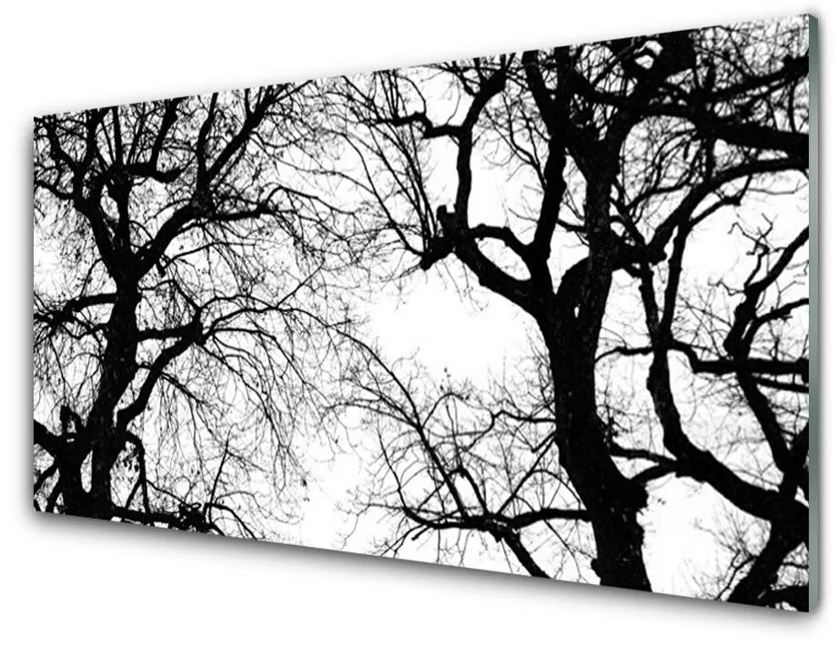 Obraz plexi Stromy príroda čiernobiely 140x70 cm