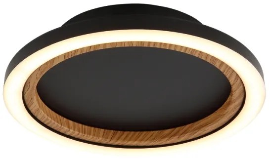 Globo 67356D - LED Stropné svietidlo DAKARI I LED/12W/230V 3000K pr. 20,5 cm