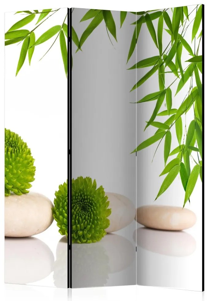 Artgeist Paraván - Green Relax [Room Dividers]