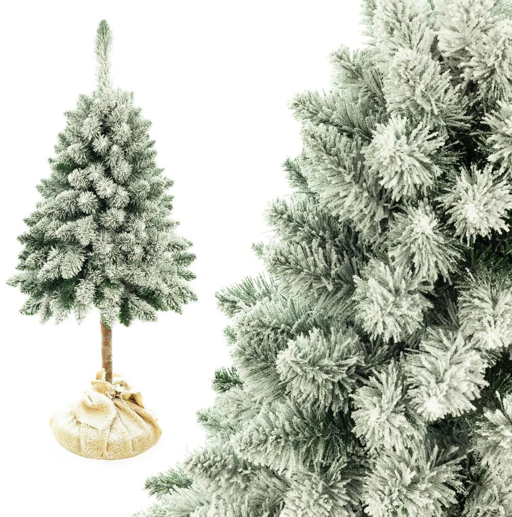 Vianočný stromček Borovica zasnežená na pníku 220 cm