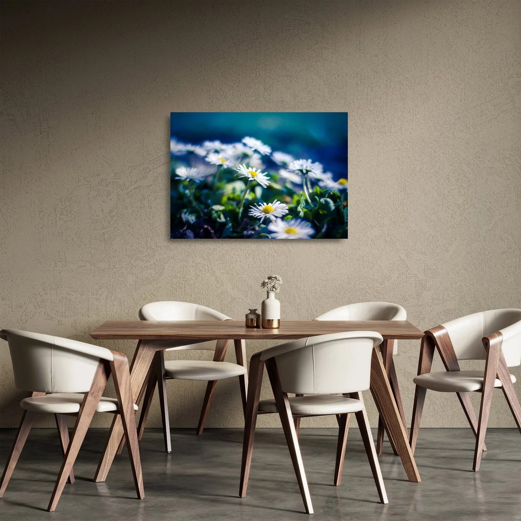 Sklenený obraz sedmokrások (70x50 cm)