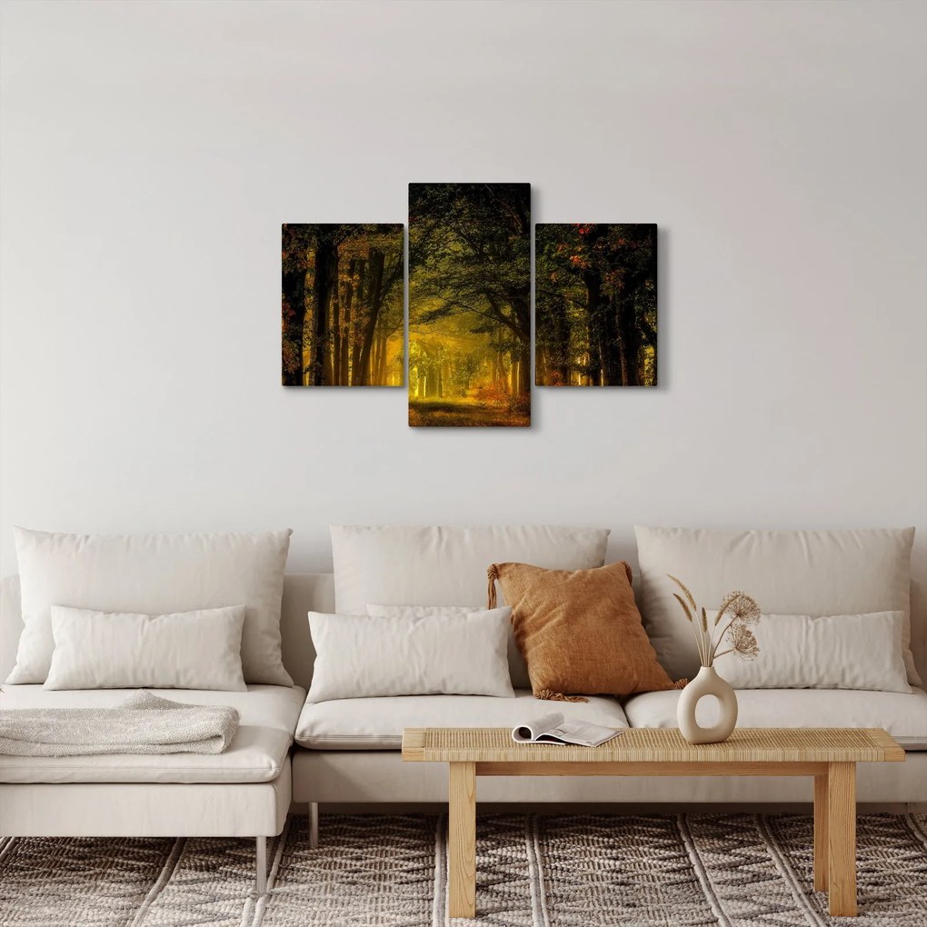 Obraz lesu (90x60 cm)