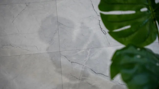 PVC podlaha Viva Venato S94 sivá