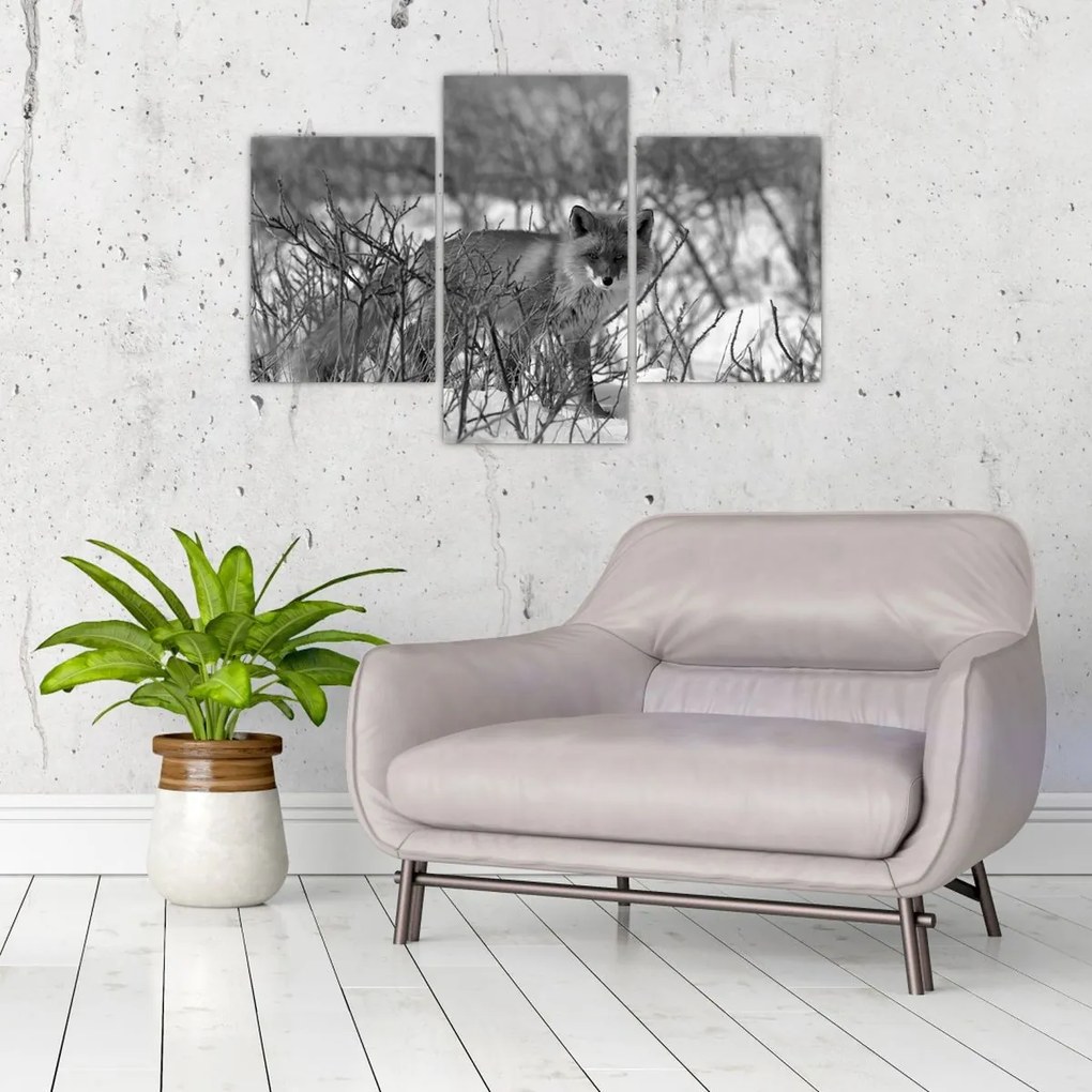 Obraz - Líška v zime (90x60 cm)