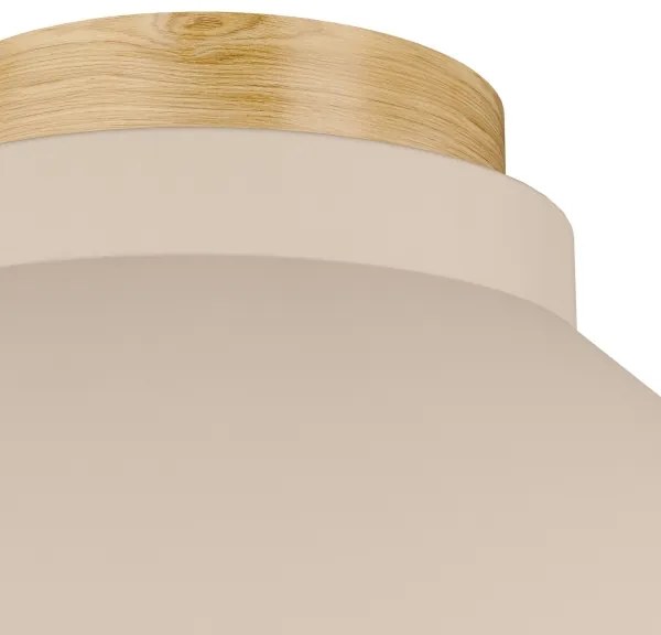 Eglo 900736 - Stropné svietidlo MOHARRAS 1xE27/40W/230V