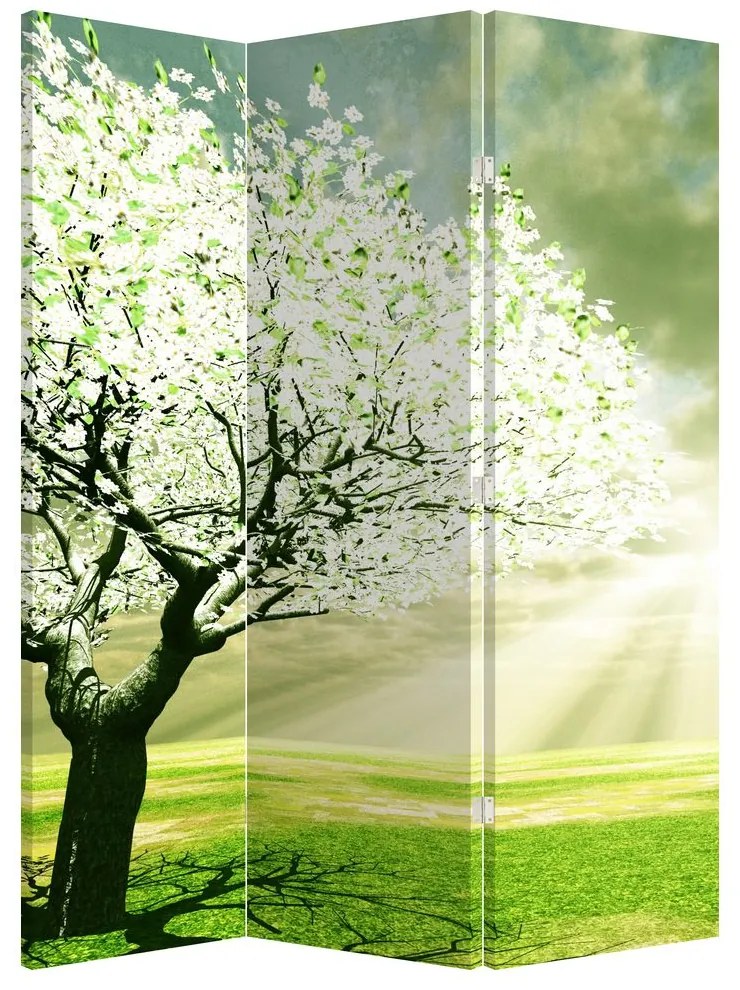 Paraván - Strom na lúke (126x170 cm)