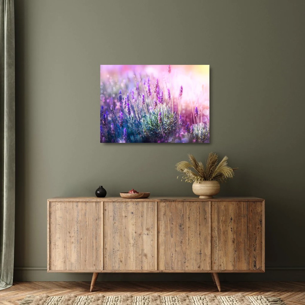 Sklenený obraz - Levanduľa vo trblietania slnka (70x50 cm)