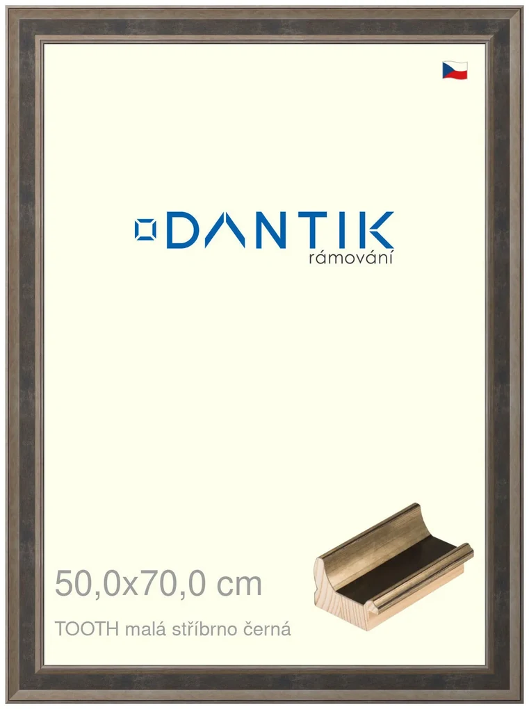 DANTIK rám na obraz 50x70 | TOOTH malá stříbrno černá (Plexi Čiré)