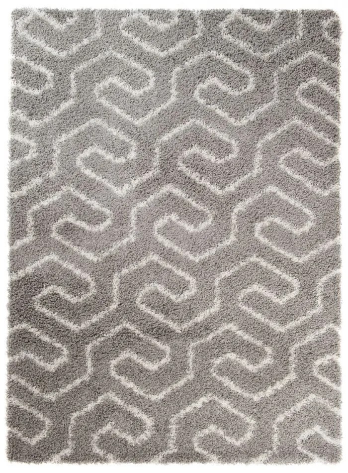 Kusový koberec Shaggy Jolana šedý 2, Velikosti 80x150cm