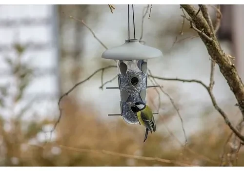 Plastia Kŕmidlo pre vtáky Robin, antracit