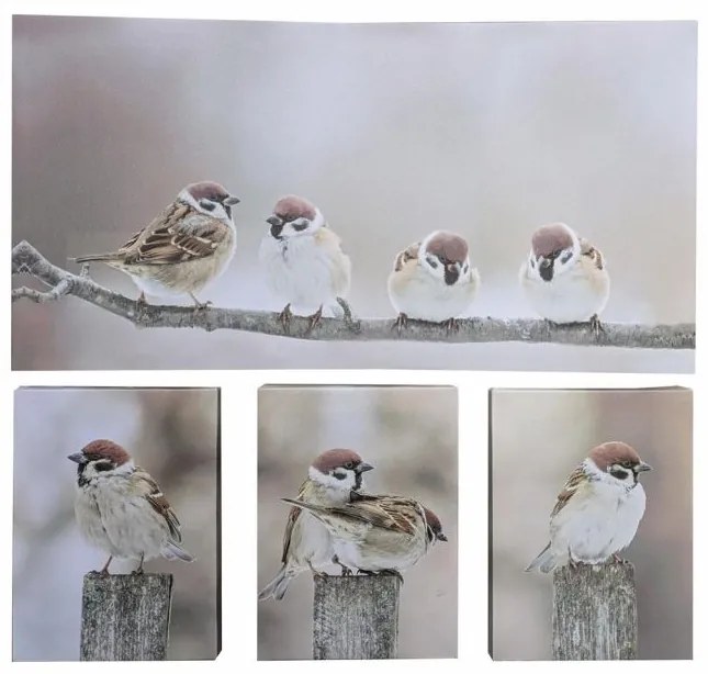 Sada nástenných obrazov Vrabce na konári, 4 ks