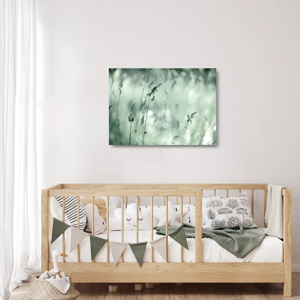 Sklenený obraz - Zelená lúka (70x50 cm)