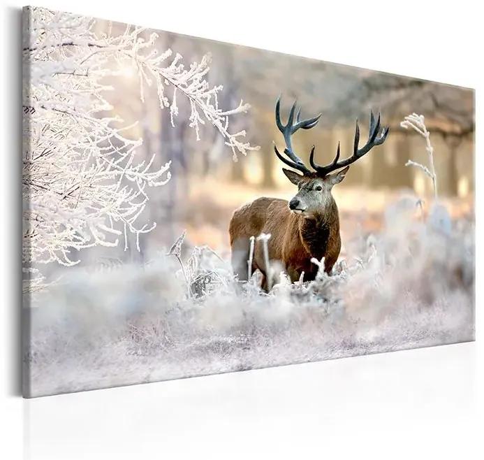 Obraz - Deer in the Cold Veľkosť: 120x80, Verzia: Premium Print