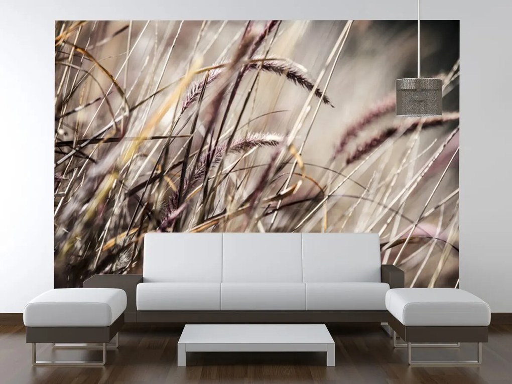 Gario Fototapeta V tráve - Nina Matthews Veľkosť: 200 x 135 cm, Materiál: Vliesová