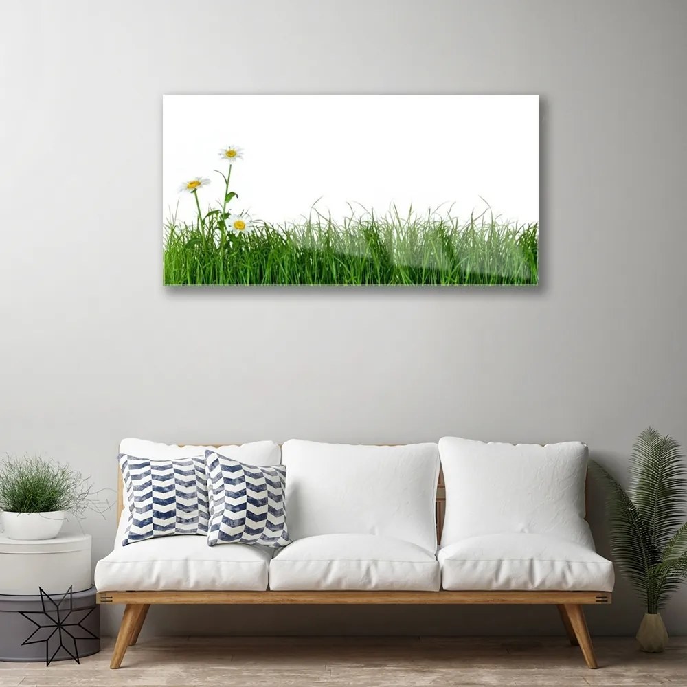 Obraz na skle Burina príroda rastlina 120x60 cm