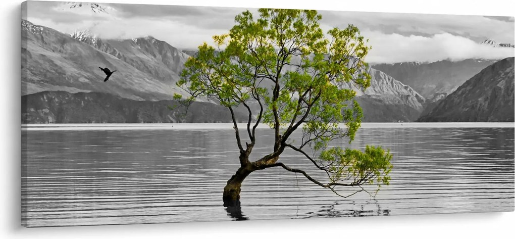 Obraz stromu uprostred jazera (120x50 cm)