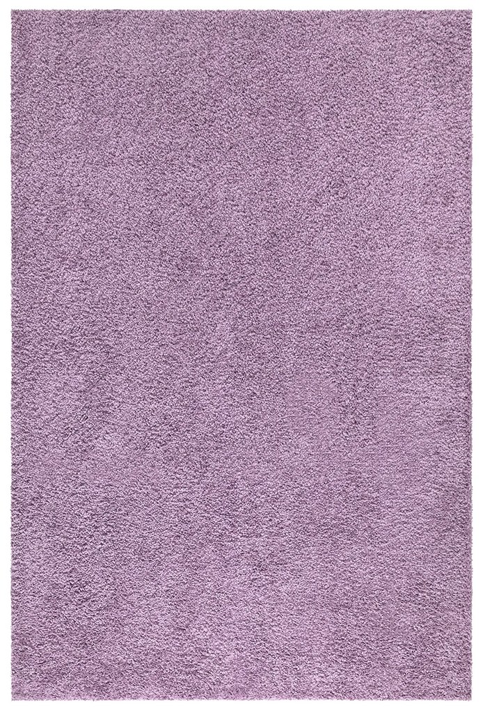 Dekorstudio Shaggy koberec CITY 500 fialový Rozmer koberca: 60x110cm
