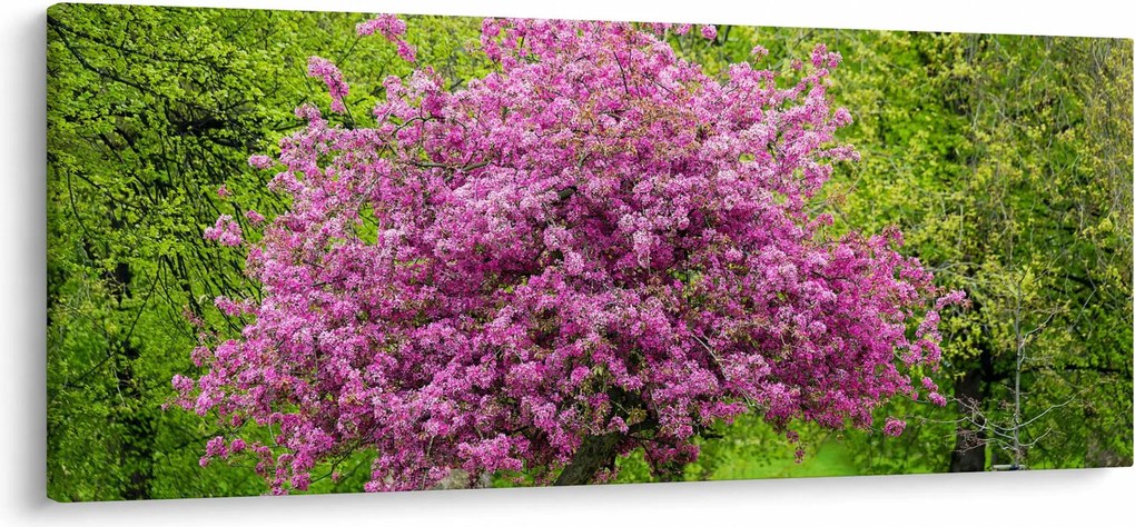 Obraz rozkvitnutého stromu na lúke (120x50 cm)