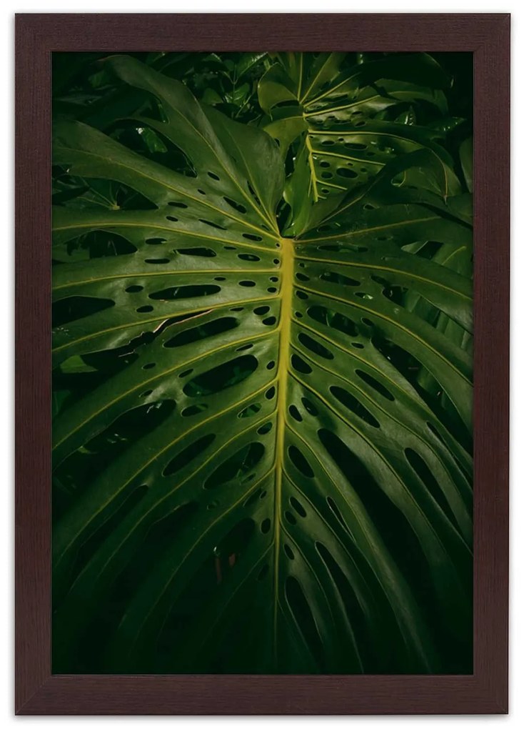 Gario Plagát Monstera - list z prírody Farba rámu: Biela, Rozmery: 30 x 45 cm