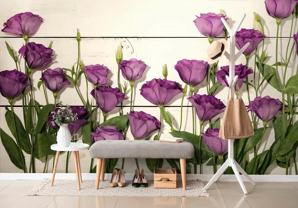 Fototapeta nádherné fialové kvety - 150x100