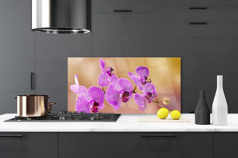 Sklenený obklad Do kuchyne Orchidea výhonky kvety príroda 100x50 cm