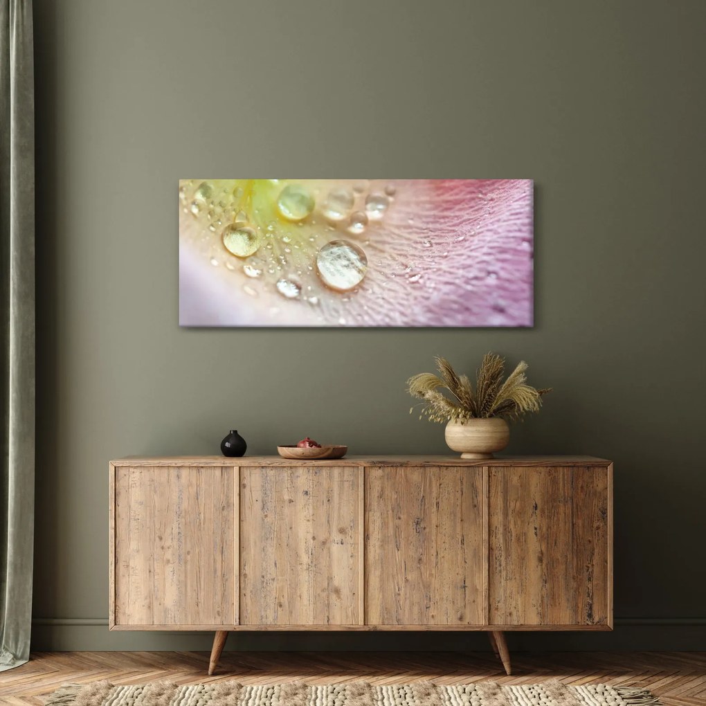 Obraz - Kvapky rosy (120x50 cm)