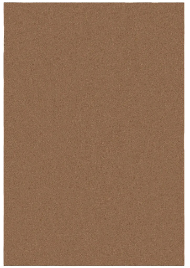 Flair Rugs koberce Kusový koberec Softie Camel - 120x170 cm
