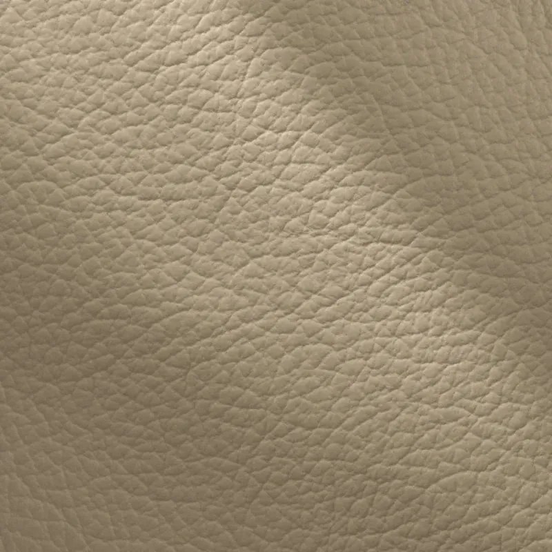 Kožené kreslo CONTINENTAL 1P, cappuccino (cappuccino 313)