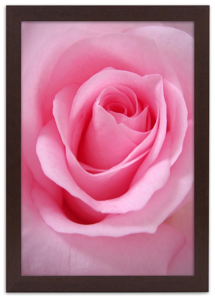 Gario Plagát Romantická ruža Farba rámu: Bez rámu, Rozmery: 30 x 45 cm