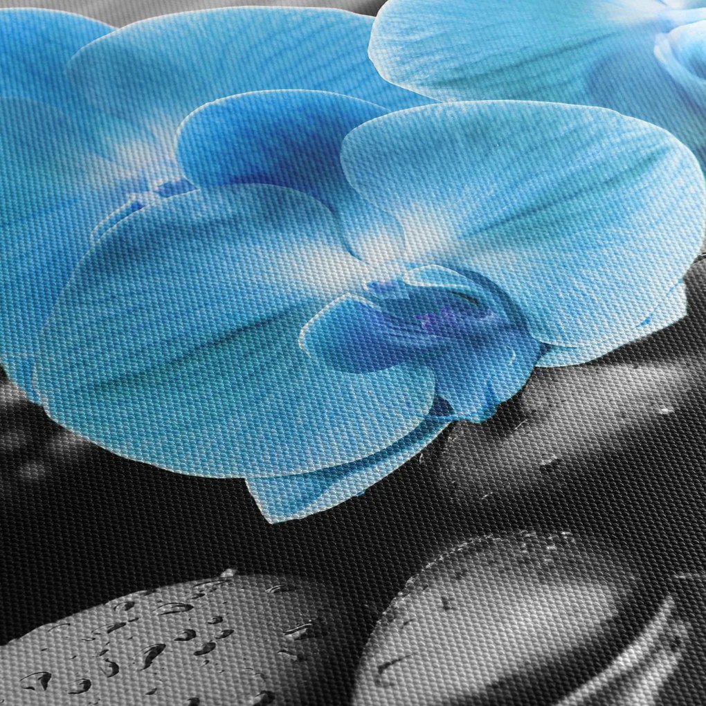 Obraz - Modrá orchidea (150x105 cm)