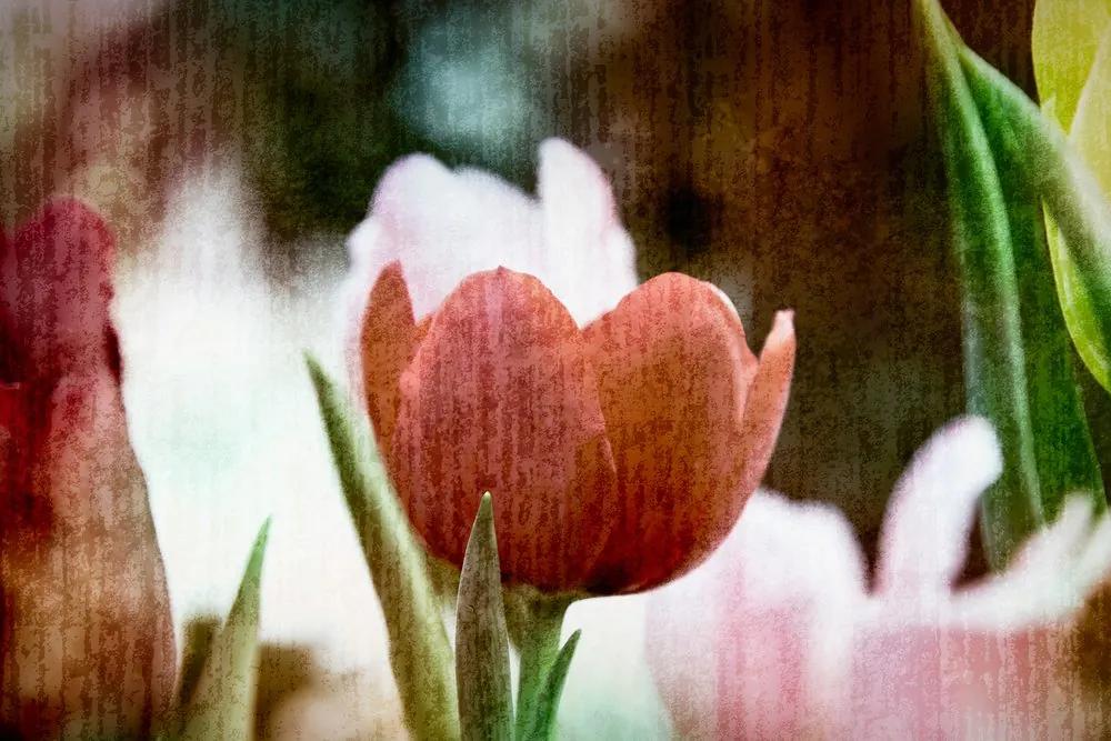 Obraz lúka tulipánov v retro štýle Varianta: 60x40