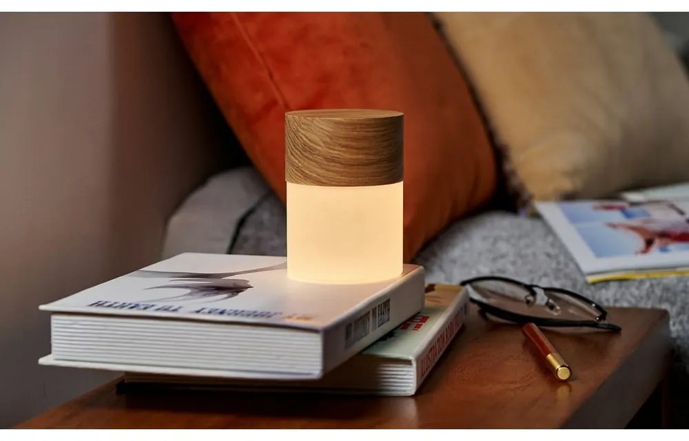 Stmievateľná stolová lampa v prírodnej farbe so skleneným tienidlom (výška 10,5 cm) Lemelia - Gingko