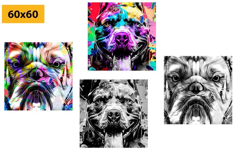 Set obrazov psy v pop art prevedení Varianta: 4x 40x40