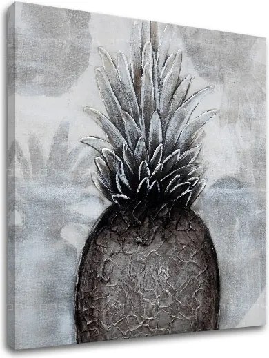Obraz na plátne ANANÁS 1 dielny XOBCH1345H-14E1