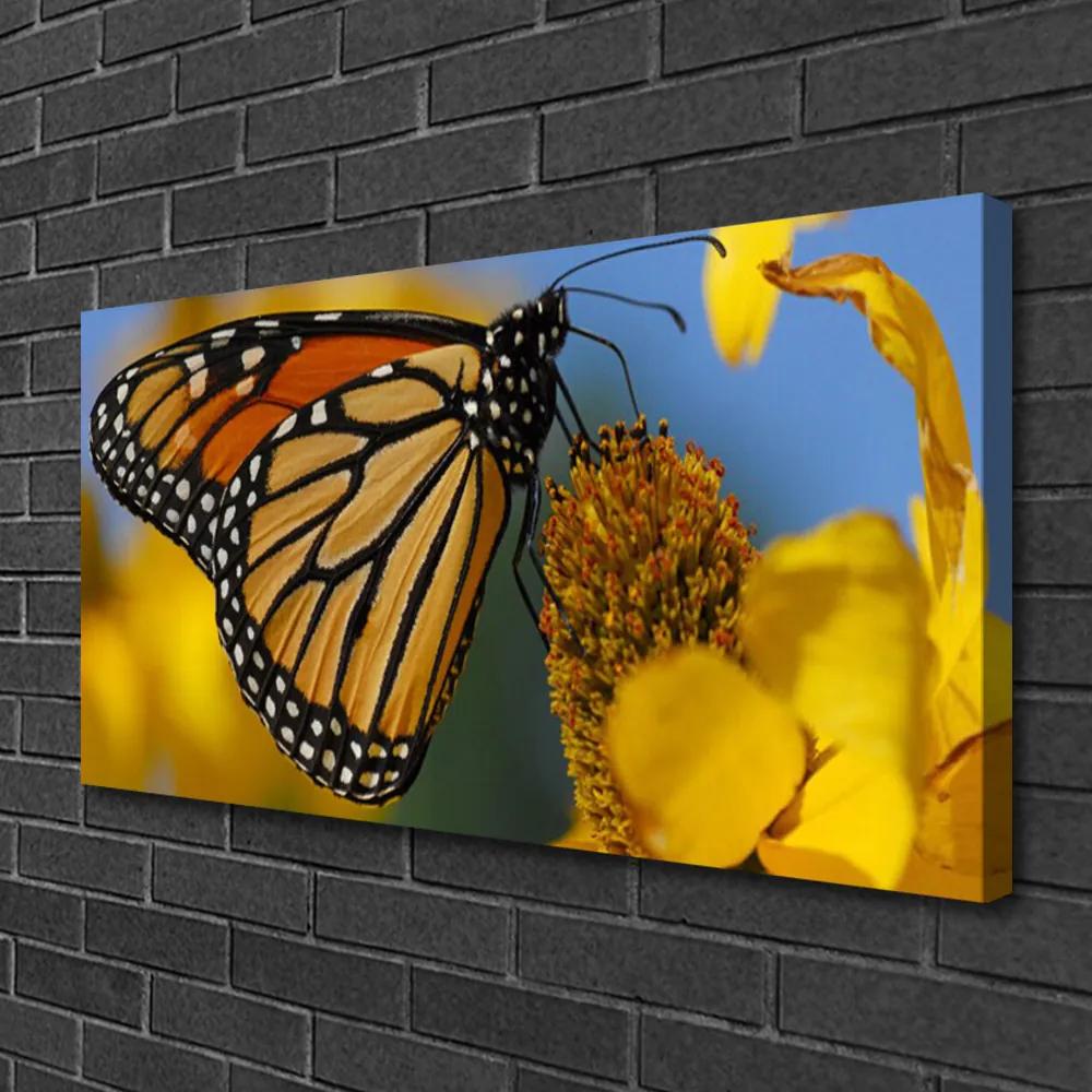 Obraz Canvas Motýľ kvet príroda 120x60 cm