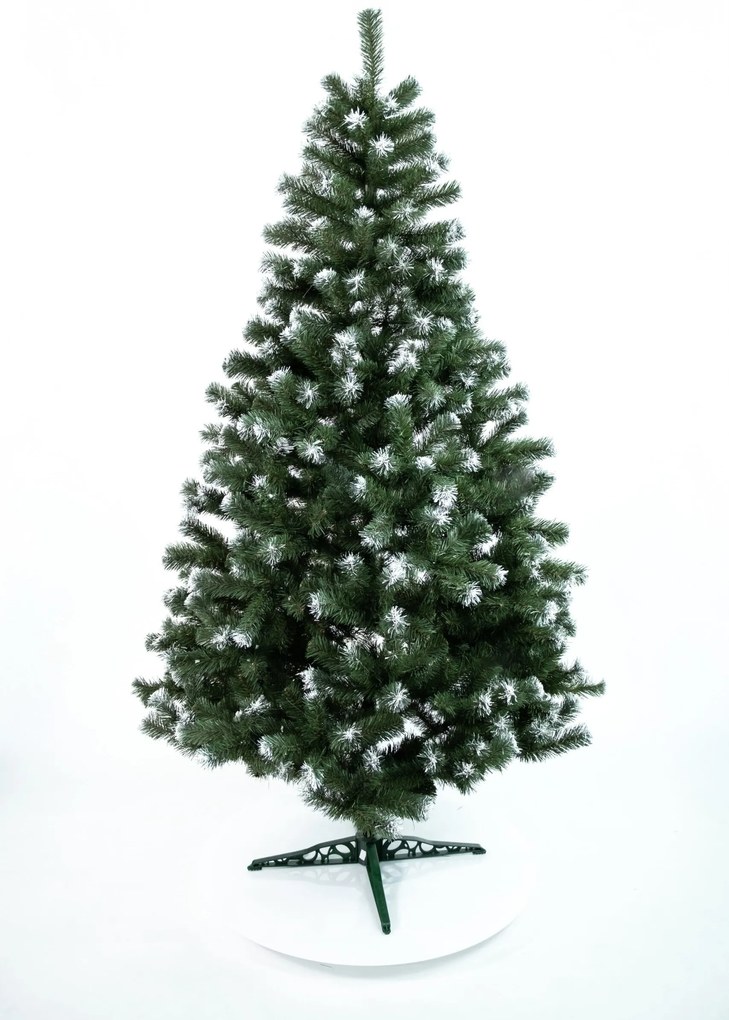 Limpol Jedľa Beata 2,40 m