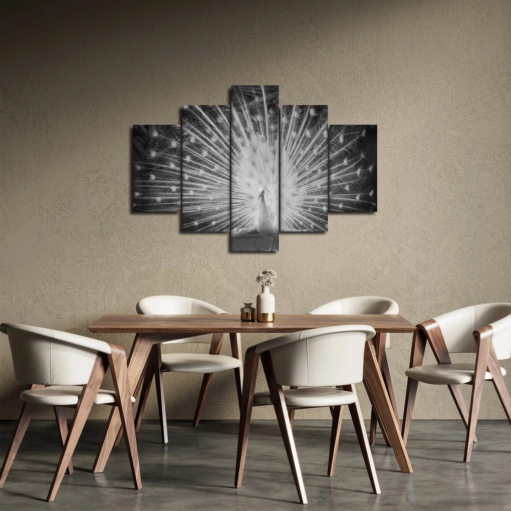 Obraz - Biely páv (150x105 cm)