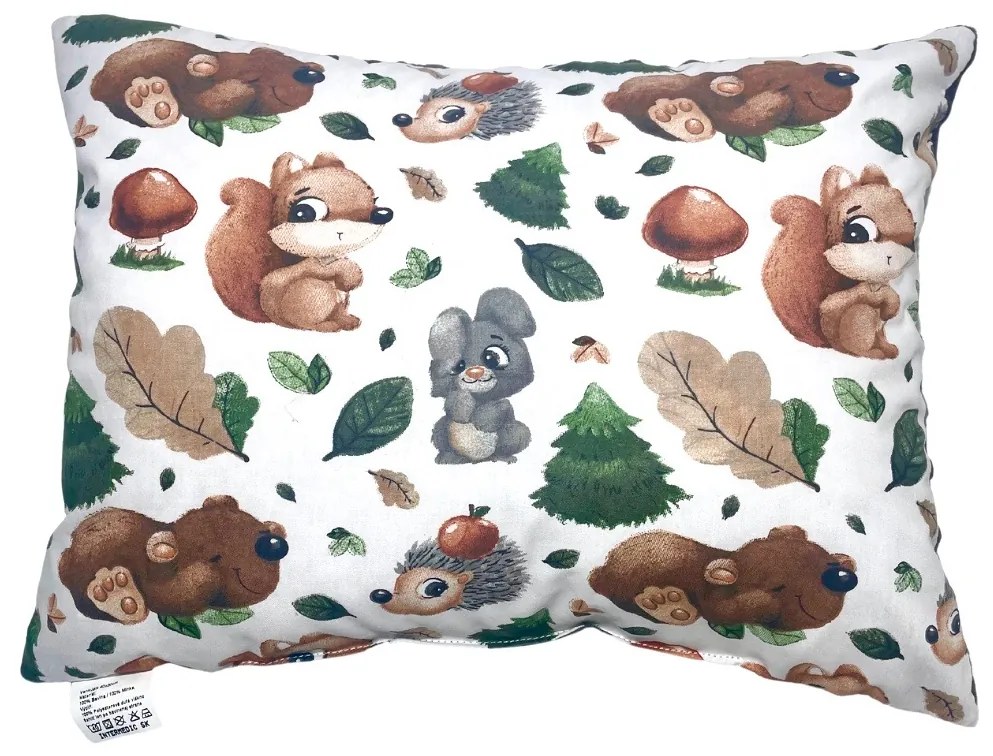 INTERMEDIC SK Vankúšik Veverička/minky hnedá 40x30 cm