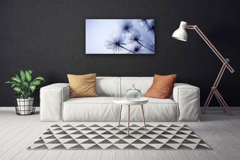 Obraz Canvas Púpava rastlina 140x70 cm
