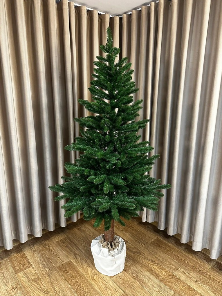 Jedľa Karpatská na pni 220cm